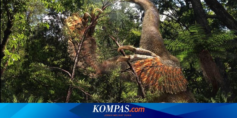Strange Dinosaurs Like Loris with Two Giant Fingers