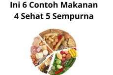 Ini 6 Contoh Makanan 4 Sehat 5 Sempurna