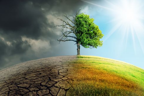 Psikologis Manusia Bisa Bantu Atasi Perubahan Iklim