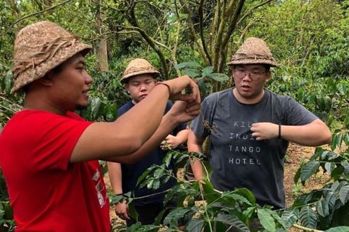 Cerita Pemilik Bali Arabica, Cita-cita Jadi PNS Tak Kesampaian, Kini Punya Usaha Beromzet Rp 1 M Per Tahun