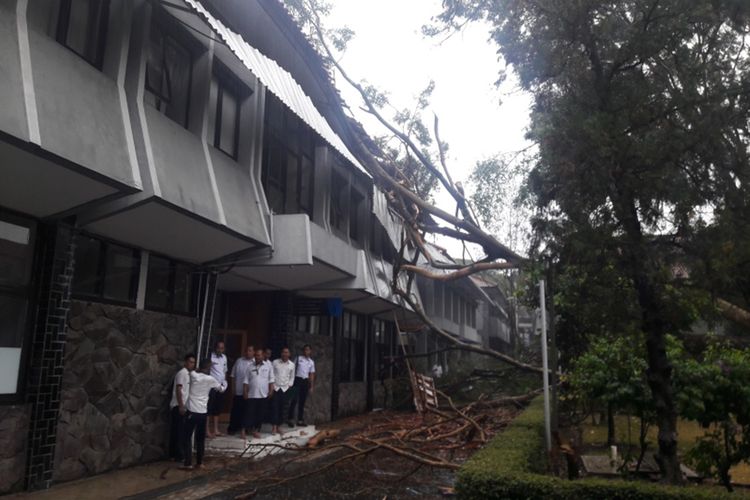 Sejumlah pegawai yang bekerja di Gedung B lingkungan perkantoran Pemkab Garut tempat wakil bupati dan Sekretaris Daerah berkantor keluar dari gedung usai gedung ditimpa pohon beringin, Rabu (13/11/2019)