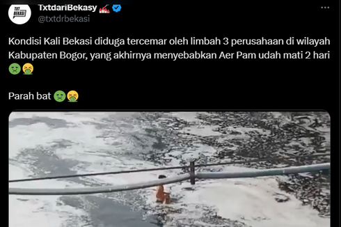 Viral, Video Pencemaran Air di Kali Bekasi, DLH: 3 Perusahaan Sudah Masuk Ranah Pidana