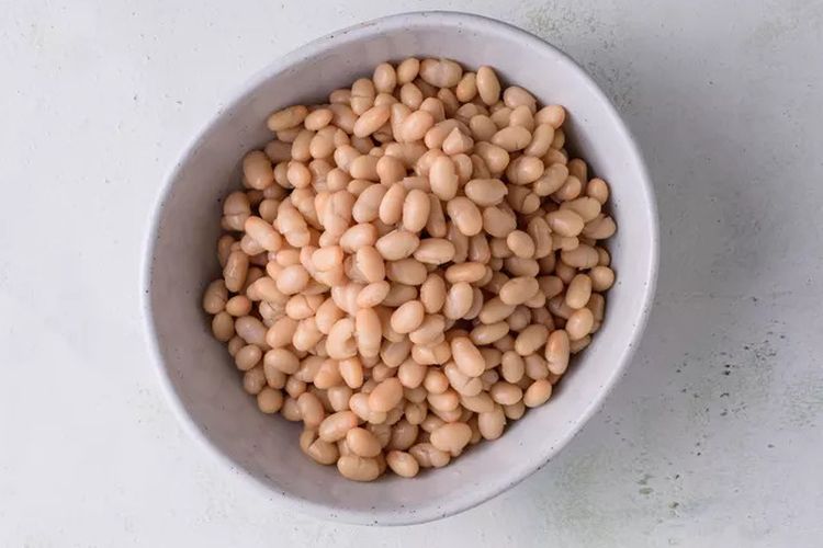 Ilustrasi navy beans atau kacang navy, jenis kacang berserat tinggi. 