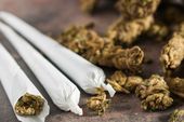 5 Fakta Ganja dari Kandungan Zat Adiktif, Efek, hingga Risiko Kecanduan