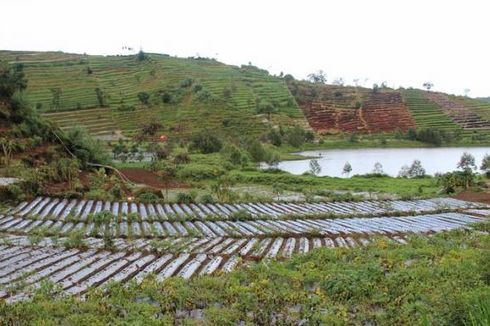 Beberkan Masalah di Industri Pertanian, Moeldoko: Petani Pasti Kesulitan