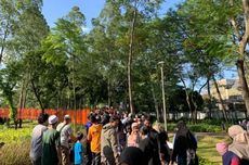 Polisi Sebut Pengunjung di Tebet Eco Park Tertimpa Dahan Pohon Flamboyan 