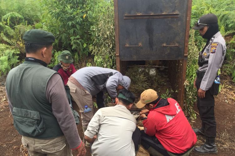 Petugas gabungan memasang perangkap harimau di Kecamatan Palangiran, Kabupaten Indragiri Hilir, Riau.