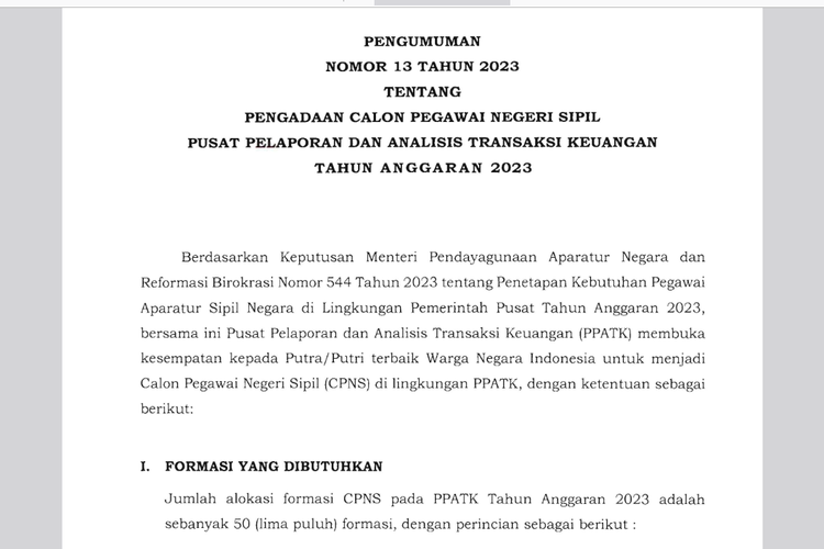 CPNS dan PPPK PPATK 2023.