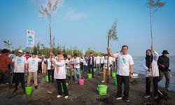 Pemprov Jateng Tanam Mangrove Serentak di 16 Daerah Pesisir