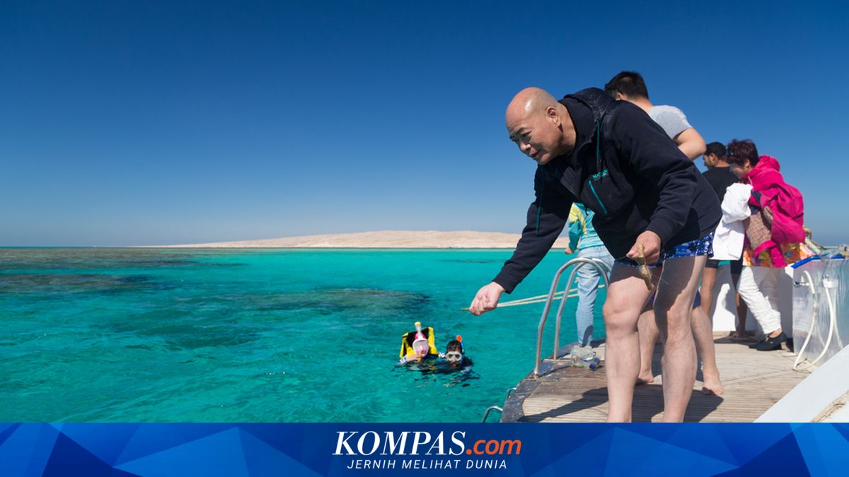 money.kompas.com