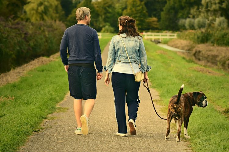 Ilustrasi pasangan mengajak anjing jalan-jalan. 