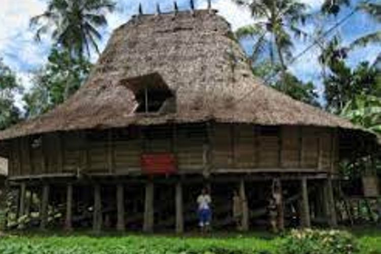Rumah adat Nias untuk kepala desa disebut Omo Sebua.