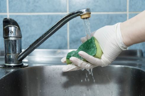 Seberapa Banyak Bakteri dalam Spons Cuci Piring Kita?