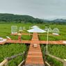 Menoreh Sky Bridge: Harga Tiket, Jam Buka, dan Daya Tarik