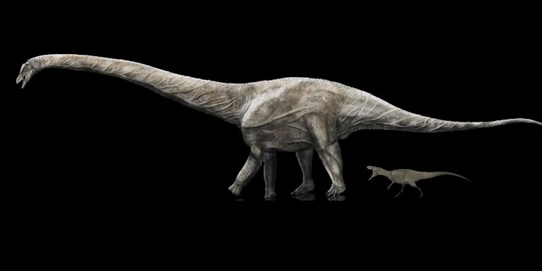 Supersaurus dibandingkan dengan dinosaurus pemakan daging Allosaurus
