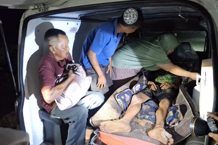 Harimau Sumatera Serang Pekerja di Siak Riau, BBKSDA: Kemungkinan Besar Itu Habitatnya