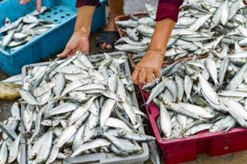 Di Gorontalo, Harga Ikan Naik 200 Persen