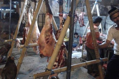 10 Ton Daging Kerbau Murah Asal India Masuk ke Bengkulu