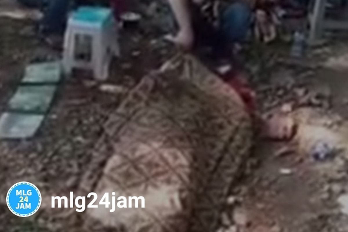 Diduga, marak atraksi sulap di Kota Malang, Jawa Timur yang menggunakan atribut pakaian tradisional dengan meminta uang tanpa sadar atau bermodus gendam kepada korbannya. 