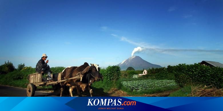 Ini Kebijakan Pembangunan Pertanian Berkelanjutan Dari Kementan
