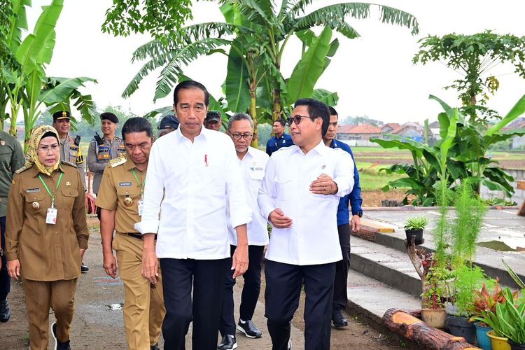Menteri Desa, Pembangunan Daerah Tertinggal, dan Transmigrasi (Menteri Desa PDTT) Abdul Halim Iskandar bersama dengan Presiden Republik Indonesia (RI) Joko Widodo (Jokowi)
