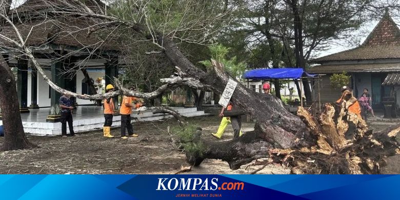 Bencana Cuaca Ekstrem Rusak Puluhan Rumah di Indramayu