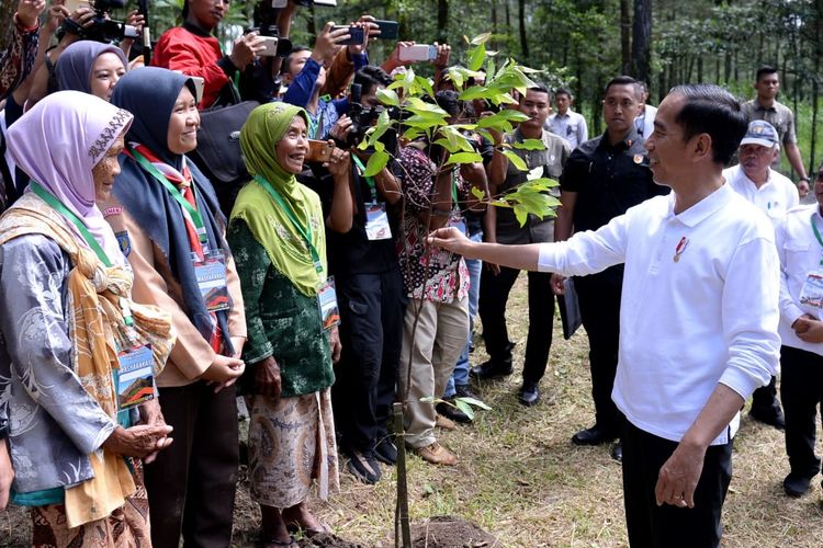 Presiden Joko Widodo bersama masyarakat melakukan penanaman pohon serentak di kawasan Taman Nasional Gunung Merapi (TNGM) Jurang Jero, Kabupaten Magelang, Jawa Tengah, Jumat (14/2/2020).