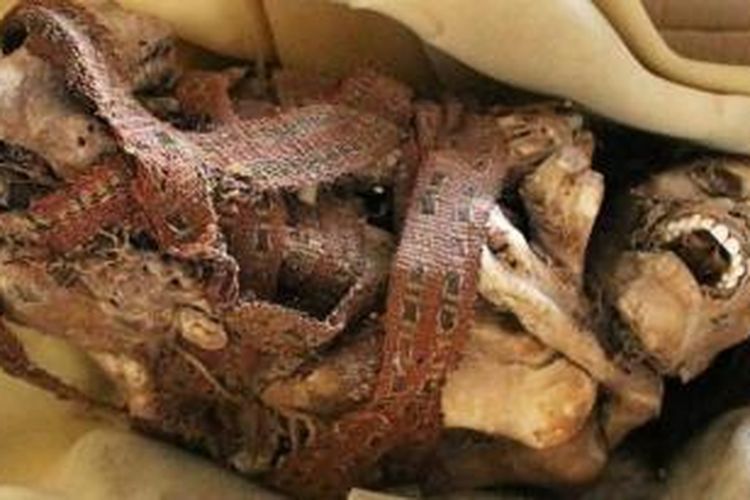 Inilah sosok mumi yang diperkirakan berusia lebih dari 1.000 tahun yang ditemukan seorang petugas kebersihan kota Trujillo, Peru di sebuah tempat sampah.