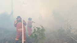 Karhutla di Riau, Petugas Kewalahan Atasi Api yang Terus Meluas ke Hutan
