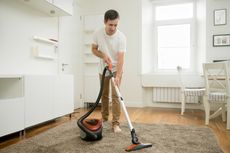 Amankah Membasmi Semut di Rumah dengan Vacuum Cleaner?