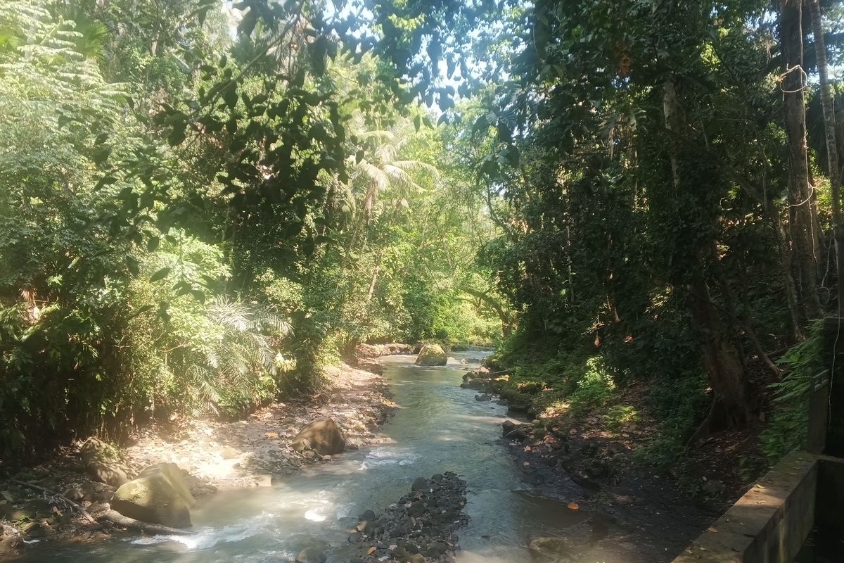 Suasana sungai dengan pepohonan yang asri di kawasan wisata Kemenuh Monkey River, Desa Kemenuh, Kabupaten Gianyar, Jumat (18/9/2026).
