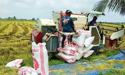 Hari Pangan Sedunia, BRGM Upayakan Pendekatan 3R untuk Dukung Pangan Berkelanjutan