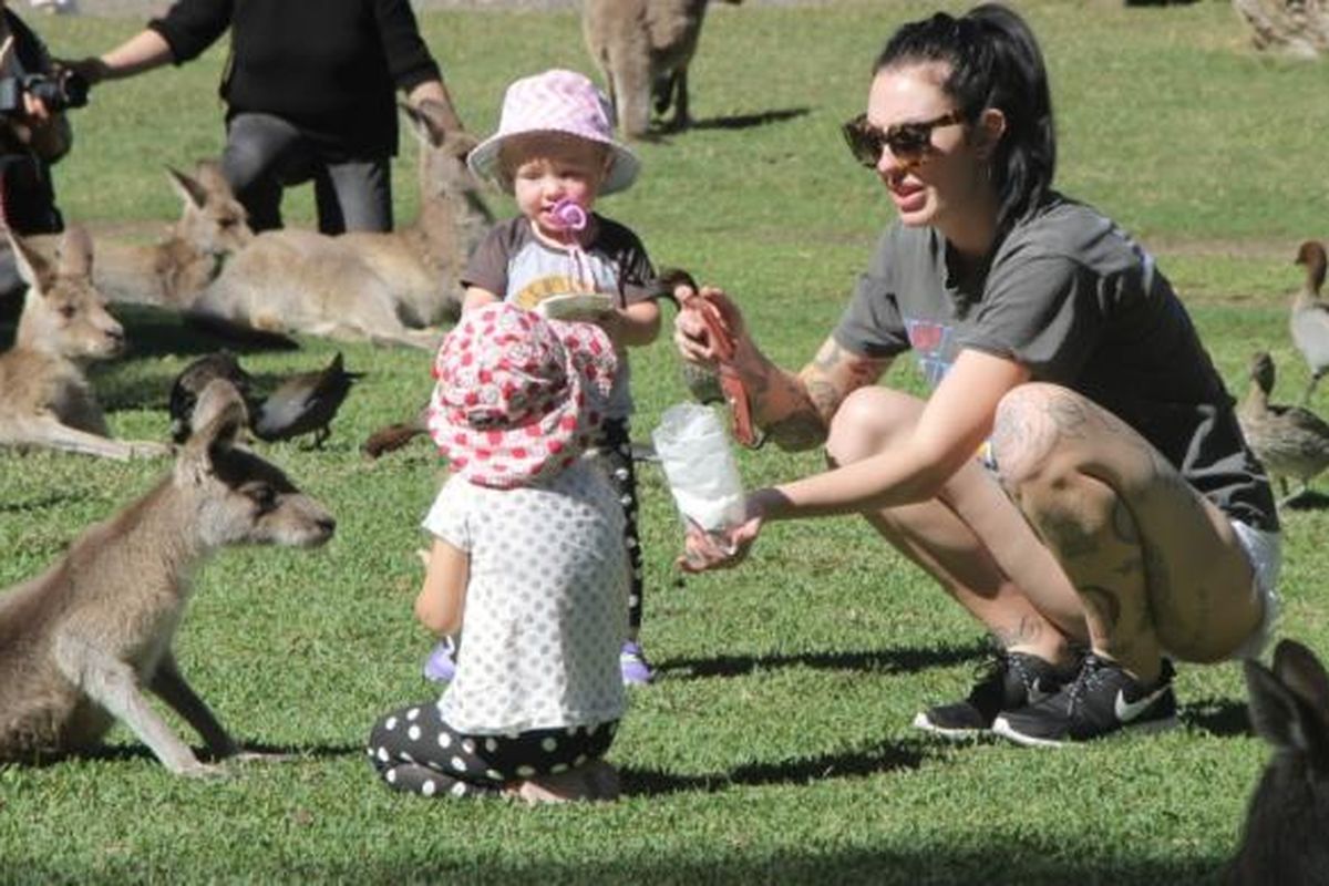 Gold Coast juga ramah untuk perjalanan keluarga. Seaworld, Skypoint, atau kebun binatang Currumbin Wildlife Sanctuary adalah tujuan piknik keluarga di sini