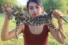 Masak dan Makan Hewan Dilindungi, YouTuber Asal Kamboja Tuai Kecaman