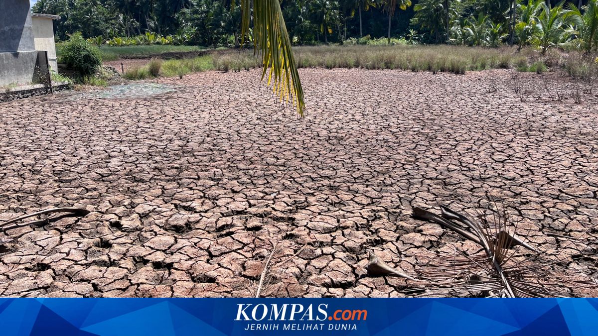 Kekeringan Landa Majingklak Pangandaran, Warga Rela Pakai Air Asin hingga Tempuh 5 Km demi Air Bersih