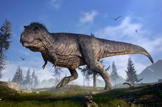 Kepunahan Dinosaurus Terjadi di Musim Semi, Studi Jelaskan