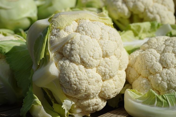 Makanan yang Sebaiknya Dikonsumsi dan Dihindari Penderita Penyakit Ginjal