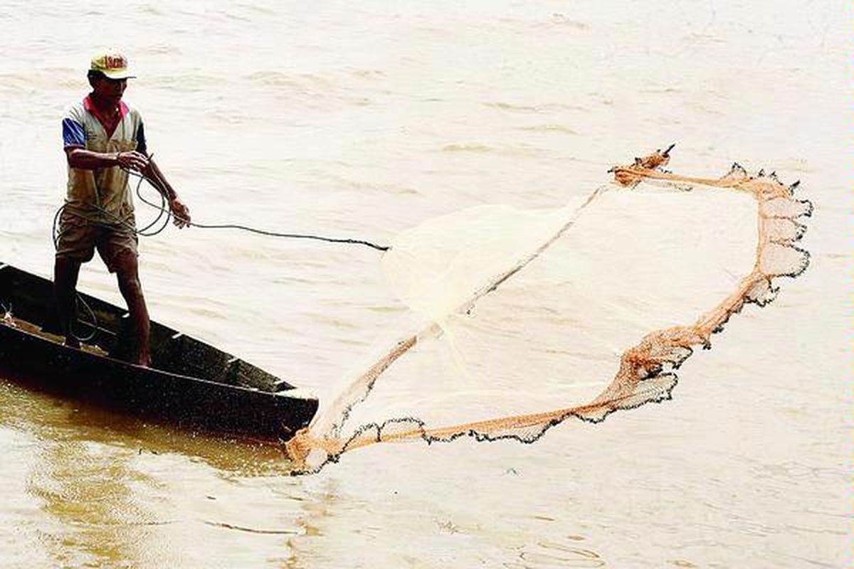 Masa pancaroba di perairan timur Jambi sejak sebulan terakhir mengakibatkan hasil tangkapan nelayan menurun drastis. Sebagian besar nelayan memilih untuk tidak melaut sementara waktu agar tidak merugi. Seorang nelayan menjala udang di muara Sungai Batanghari, Kampung Laut, Kecamatan Kuala Jambi, Kabupaten Tanjung Jabung Timur, Rabu (29/6).