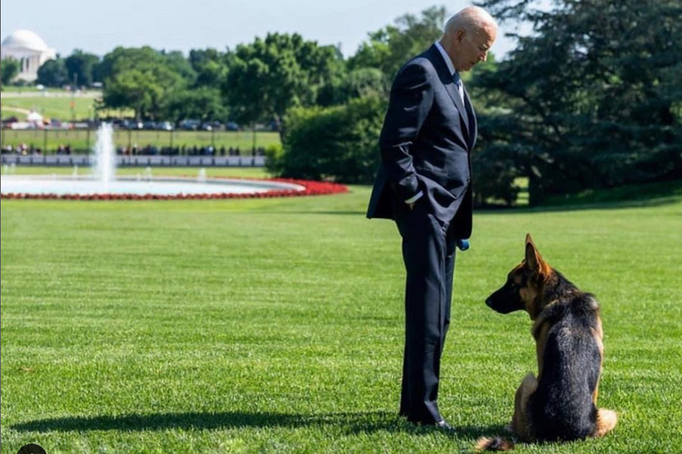 Presiden AS, Joe Biden dan anjingnya, Commander