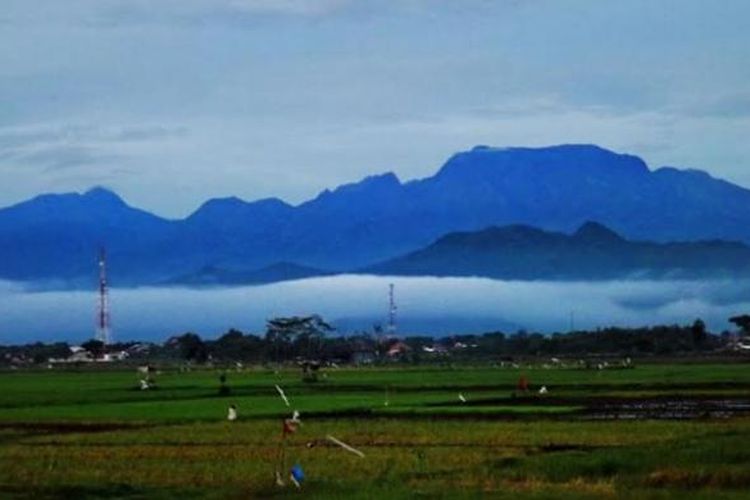 Gunung Wilis di Jawa Timur menjadi salah satu destinasi yang disiapkan oleh Pemerintah Kabupaten Kediri untuk menyambut operasional Bandara Internasional Dhoho.
