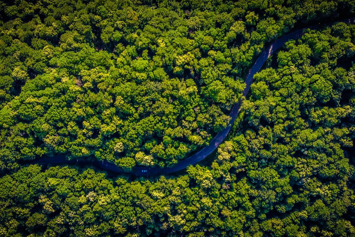 Hutan hujan Amazon.