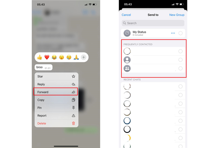 Ilustrasi cara melihat nomor yang sering dihubungi di WhatsApp melalui Frequently Contacted di forward chat.