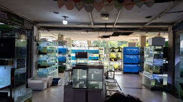 'Dulu Pembeli Ramai Sampai Enggak Bisa Duduk, Sekarang Duduk Terus'