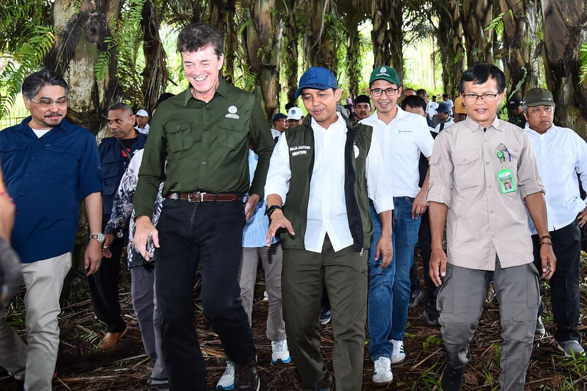 Menteri Kehutanan Raja Juli Antoni melaksanakan kunjungan kerja ke perkebunan aren milik masyarakat di Kabupaten Garut, Jawa Barat, Sabtu (10/5/2025). 
