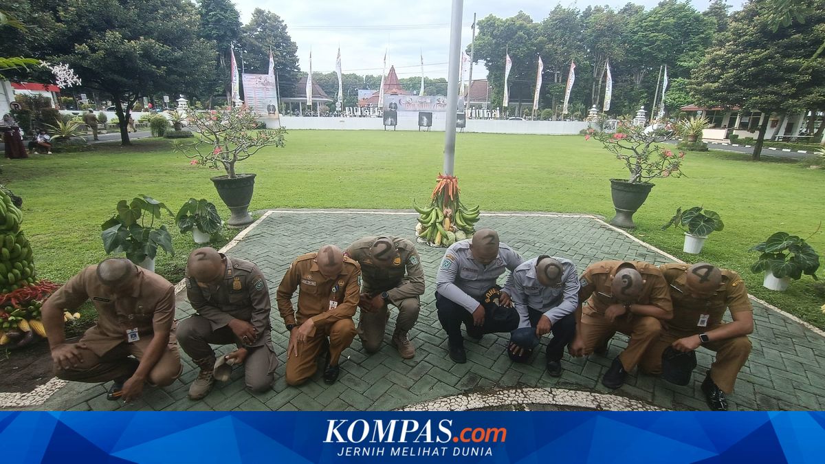 Saat ASN di Lumajang Ramai-ramai Cukur Rambut Bermotif Angka