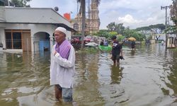 Penurunan Tanah di Demak, Tanggul dan Mangrove Disebut Bukan Solusi