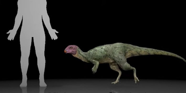 Perbandingan antara manusia dengan dinosaurus yang ditemukan di Thailand.