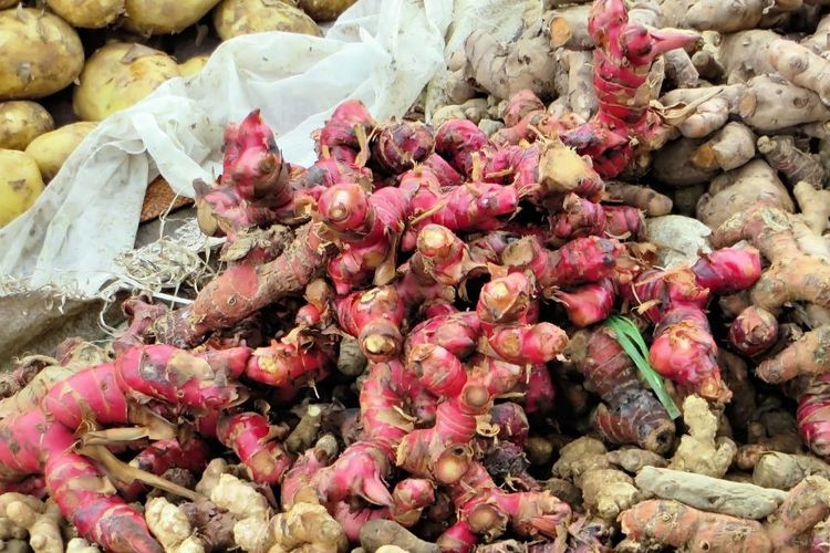 Kayu Secang dan Jahe Merah Disebut Bisa Turunkan Risiko Penyakit Jantung, Ini Kata Ahli