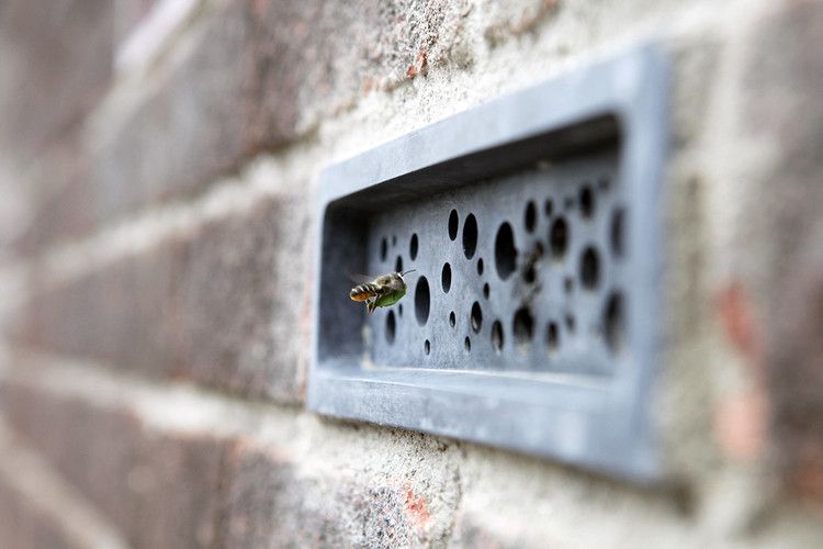 Bee Brick merupakan batu bata produksi perusahaan Green&Blue. Batu bata ini memiliki lubang-lubang sebagai tempat sarang lebah dan bisa diintegrasikan ke dalam struktur hunian. 