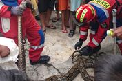 Damkar Jaktim Tangkap Ular Sanca Sepanjang 3 Meter yang Sembunyi di Paralon